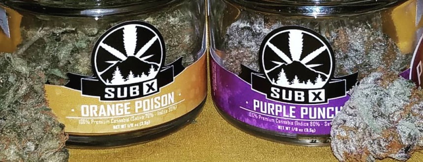 Sativa Strain ORANGE POISON and Indica Strain PUPLE PUNCH, both from our friends at local farm, Subdued Excitement.